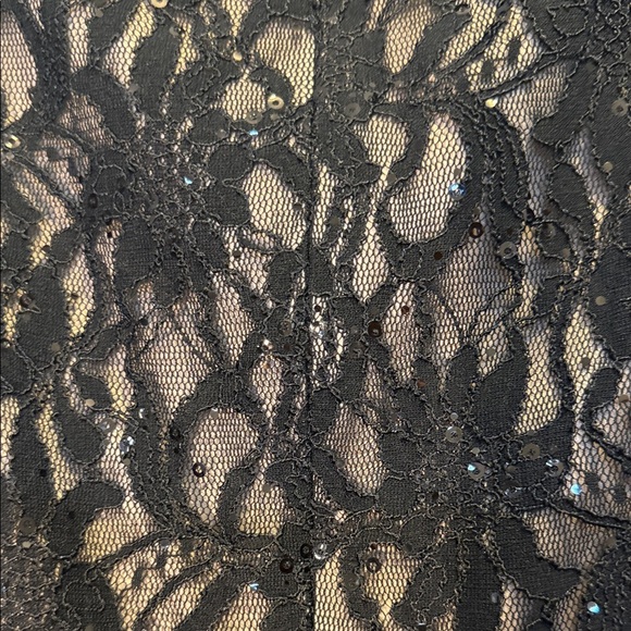 DressBarn Collection Elegant Black Lace Evening Dress - Picture 14 of 14